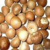 Betel Nuts
