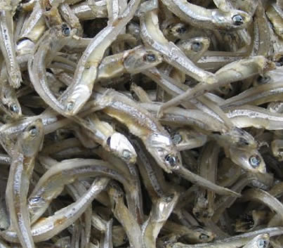 Dried anchovy
