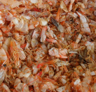 Dried shrimps