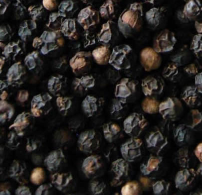 Black pepper