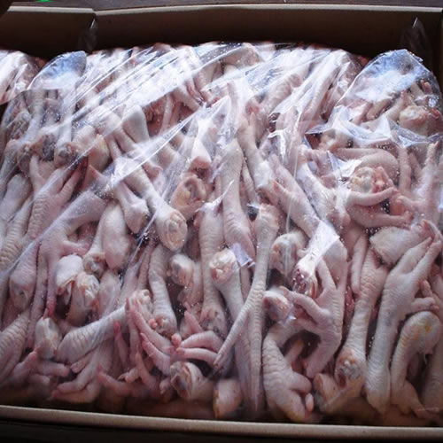 Chicken Meat / Chicken breast / Chicken leg quarter / Processed chicken feet / Chicken wings / Chicken Drumstick