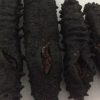 Dried Sea Cucumber