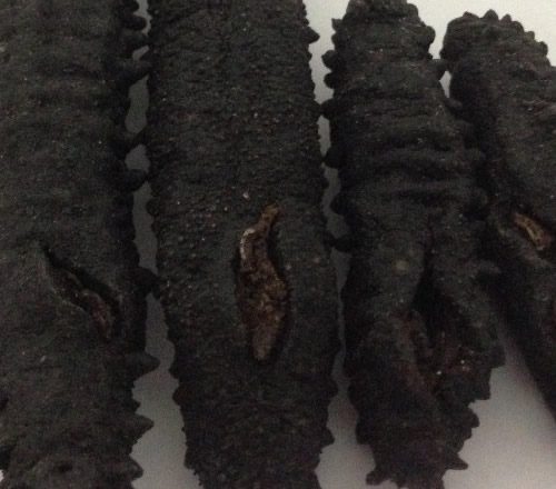 Dried Sea Cucumber