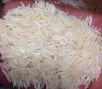 Rice