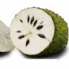 SOURSOP