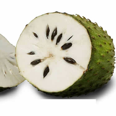 SOURSOP