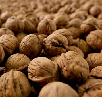 Walnuts