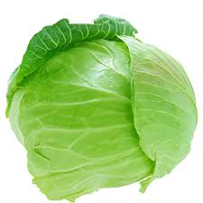 Cabbage