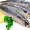 Mackerel fish