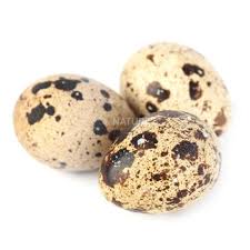 Quail egg