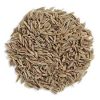 Cumin seeds